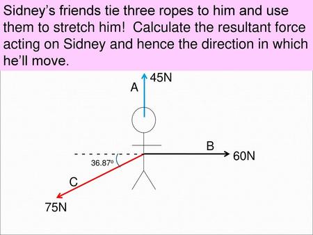 Sidney’s friends tie three ropes to him and use them to stretch him