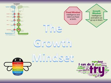 The Growth Mindset.