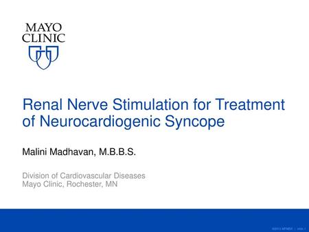 Renal Nerve Stimulation for Treatment of Neurocardiogenic Syncope