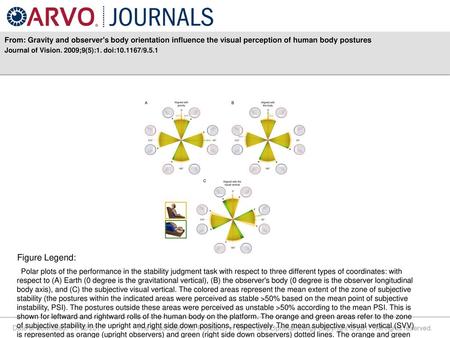 Journal of Vision. 2009;9(5):1. doi: /9.5.1 Figure Legend: