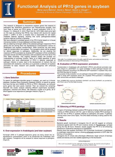 Functional analysis for this locus