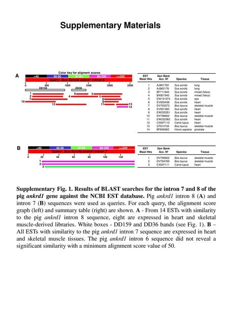 Supplementary Materials