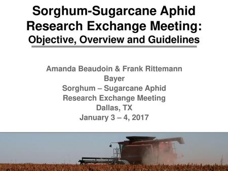 Amanda Beaudoin & Frank Rittemann Bayer Sorghum – Sugarcane Aphid