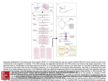 Diagnostic applications of the polymerase chain reaction (PCR). A