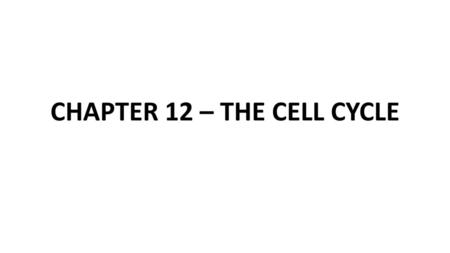 CHAPTER 12 – THE CELL CYCLE