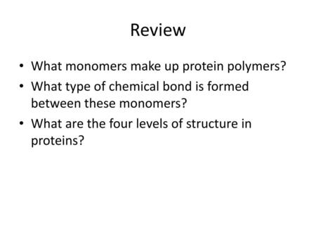 Review What monomers make up protein polymers?