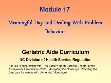 Meaningful Day and Dealing With Problem Behaviors