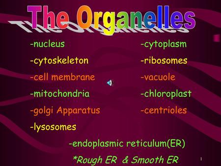 The Organelles -nucleus -cytoplasm -cytoskeleton -ribosomes