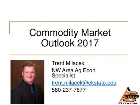 Commodity Market Outlook 2017