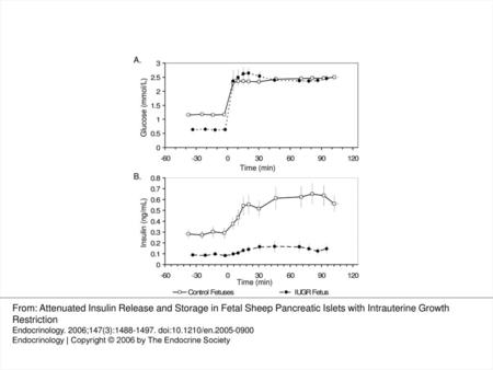 Fig. 1. Fetal GSIS. Fetal plasma glucose (A) and insulin (B) concentrations determined for the in vivo GSIS study are presented as the mean ± sem for control.