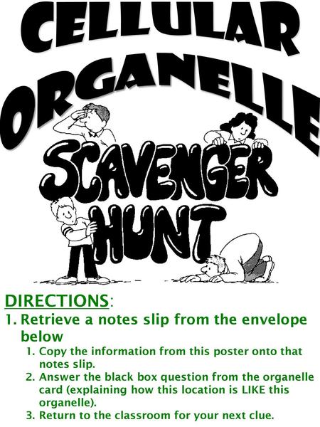 CELLULAR ORGANELLE DIRECTIONS: