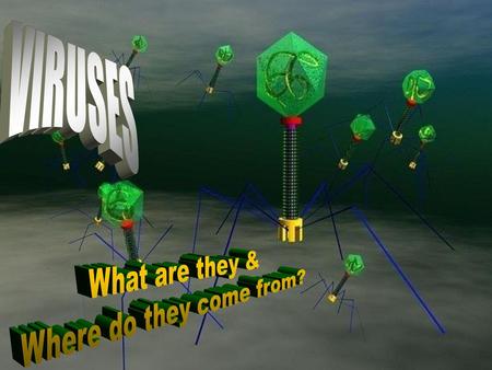 VIRUSES What are they & Where do they come from?.