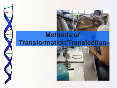 Methods of Transformation/Transfection