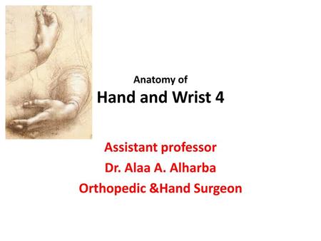 Anatomy of Hand and Wrist 4