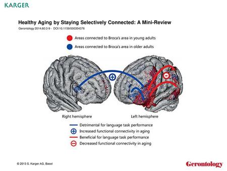 Healthy Aging by Staying Selectively Connected: A Mini-Review