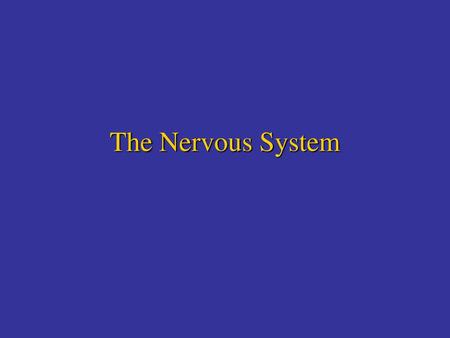 The Nervous System.