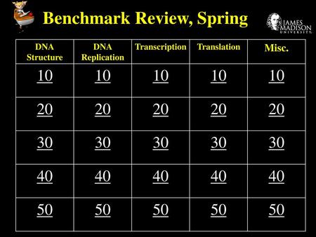 Benchmark Review, Spring