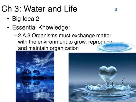 Ch 3: Water and Life Water and Life Big Idea 2 Essential Knowledge: