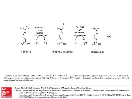 Mechanism of NO synthesis