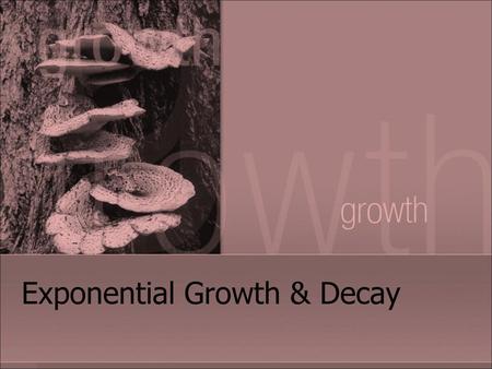 Exponential Growth & Decay