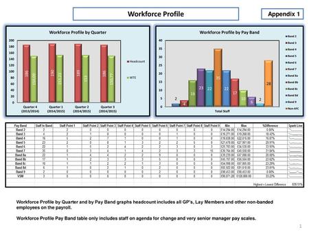 Workforce Profile Appendix 1