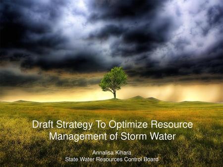 Draft Strategy To Optimize Resource Management of Storm Water