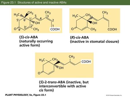 Figure 23.1 Structures of active and inactive ABAs