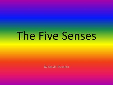 The Five Senses By Stevie Escalera.