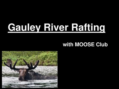 Gauley River Rafting with MOOSE Club