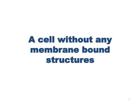 A cell without any membrane bound structures