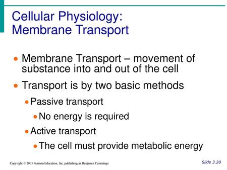 Cellular Physiology: Membrane Transport