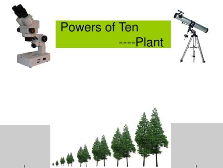 Powers of Ten ----Plant