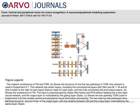 Journal of Vision. 2017;17(4):9. doi: /17.4.9 Figure Legend: