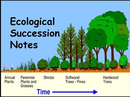 Ecological Succession Notes