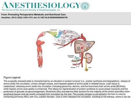 From: Promoting Perioperative Metabolic and Nutritional Care