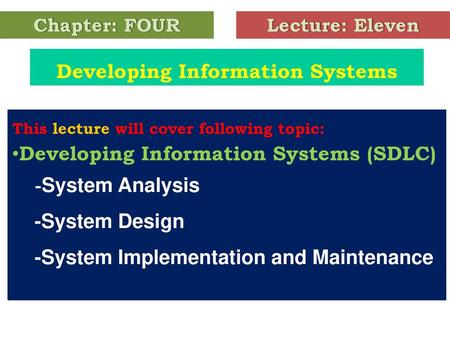 Developing Information Systems