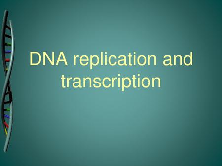 DNA replication and transcription