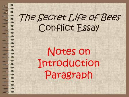 The Secret Life of Bees Conflict Essay Notes on Introduction Paragraph