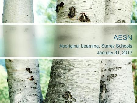 Aboriginal Learning, Surrey Schools January 31, 2017