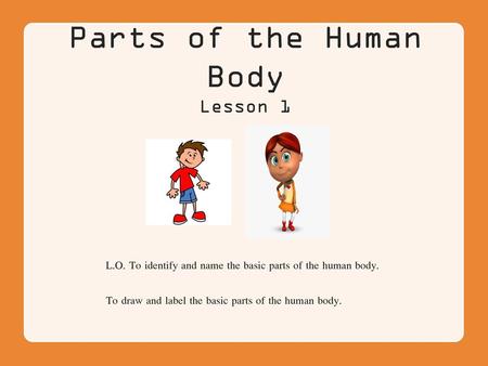 Parts of the Human Body Lesson 1