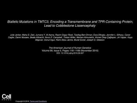 Biallelic Mutations in TMTC3, Encoding a Transmembrane and TPR-Containing Protein, Lead to Cobblestone Lissencephaly  Julie Jerber, Maha S. Zaki, Jumana.