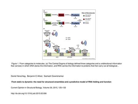 Figure 1. From categories to molecules