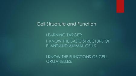 Cell Structure and Function