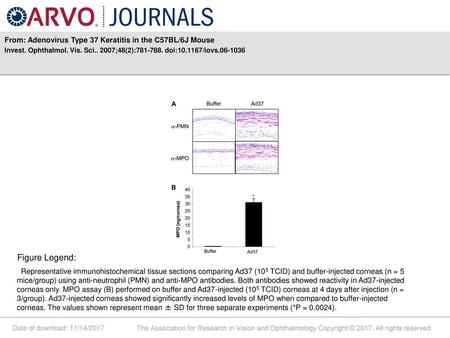 From: Adenovirus Type 37 Keratitis in the C57BL/6J Mouse