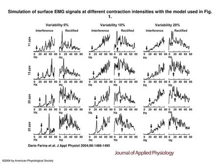 Simulation of surface EMG signals at different contraction intensities with the model used in Fig. 1. Simulation of surface EMG signals at different contraction.