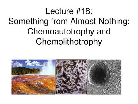 Lecture #18: Something from Almost Nothing: Chemoautotrophy and Chemolithotrophy                          So we’ve already talked about bacteria which.