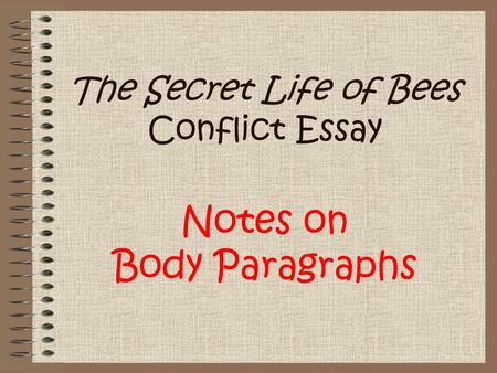 The Secret Life of Bees Conflict Essay Notes on Body Paragraphs