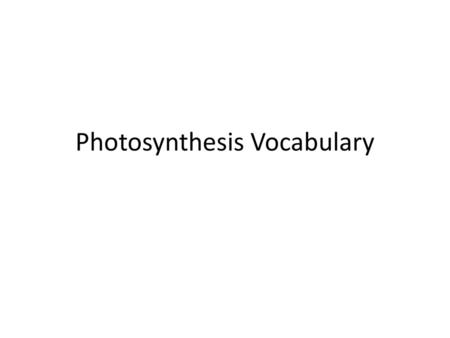 Photosynthesis Vocabulary