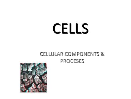 CELLULAR COMPONENTS & PROCESES