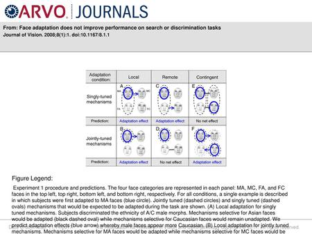 Journal of Vision. 2008;8(1):1. doi: /8.1.1 Figure Legend: